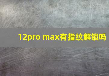 12pro max有指纹解锁吗